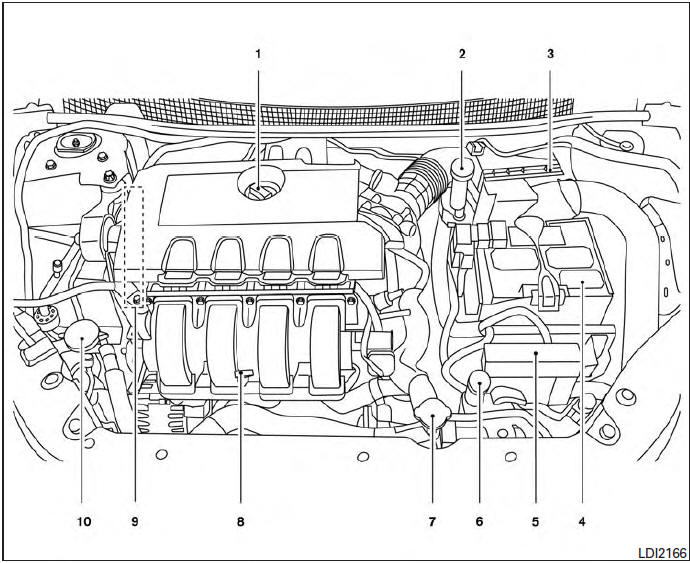 Engine compartment check locations 