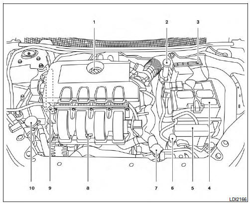 Engine compartment check locations 