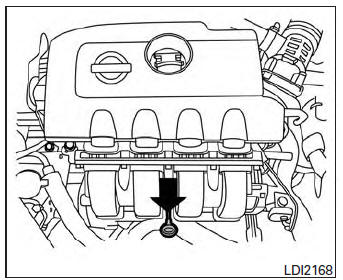 Checking engine oil level 