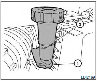 Brake and clutch (if so equipped) fluid 