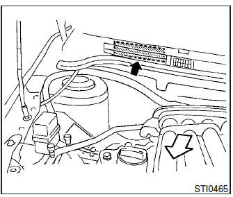 Vehicle identification number (chassis number) 