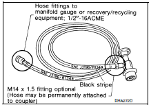 Service hoses