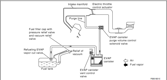 Evaporative emission system