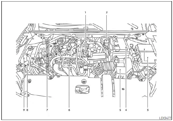 Nissan Sentra engine compartment check locations