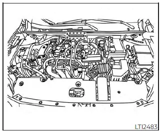 Nissan Sentra chassis number location