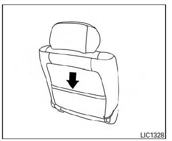 Seatback pockets (if so equipped)